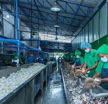 coconut preparation